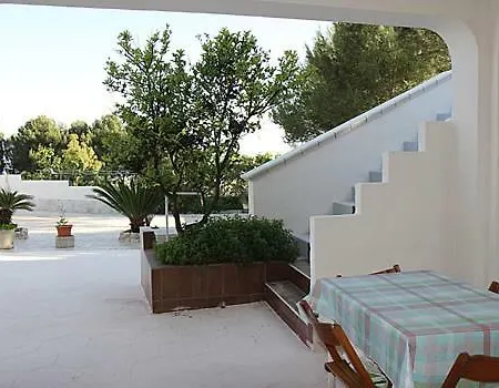 Tenuta 