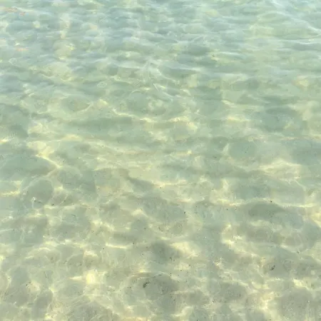 Tenuta 